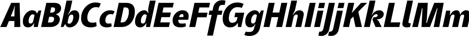 Tang Bold Italic
