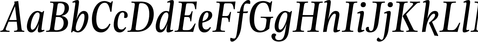 Evans Narrow Book Italic