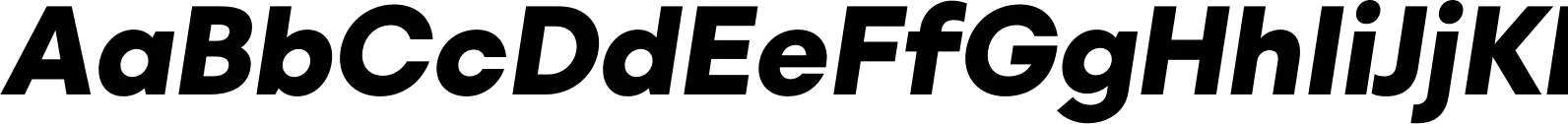 Willgray B Black Italic