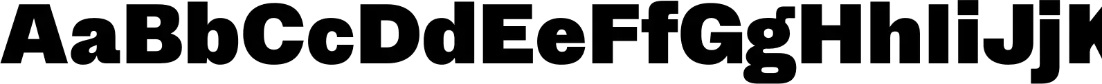 403 Grotesk Black