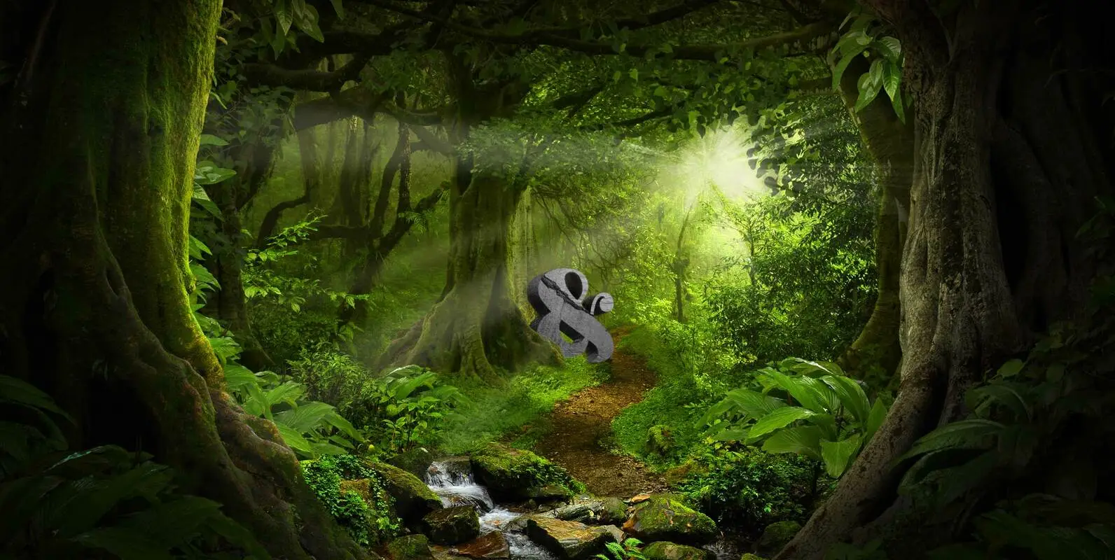 The Ampersand Forest - YouWorkForThem
