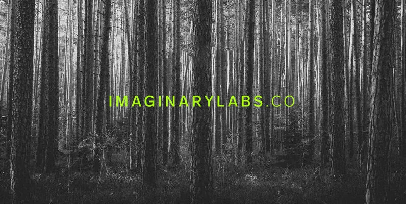 Imaginary Labs