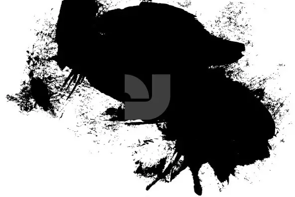 Grifter 20 Distressed - YouWorkForThem