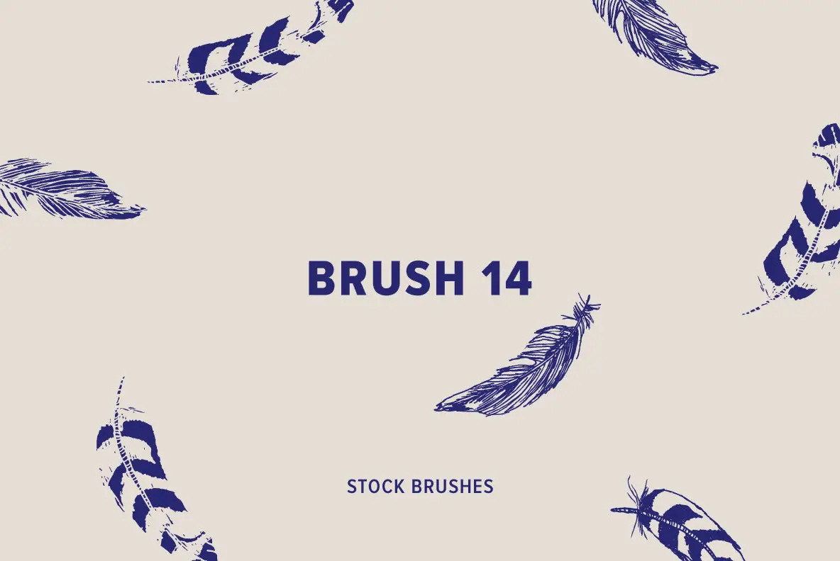 Brush 14