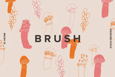 Brush 15