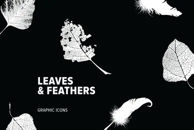 Leaves  Feathers