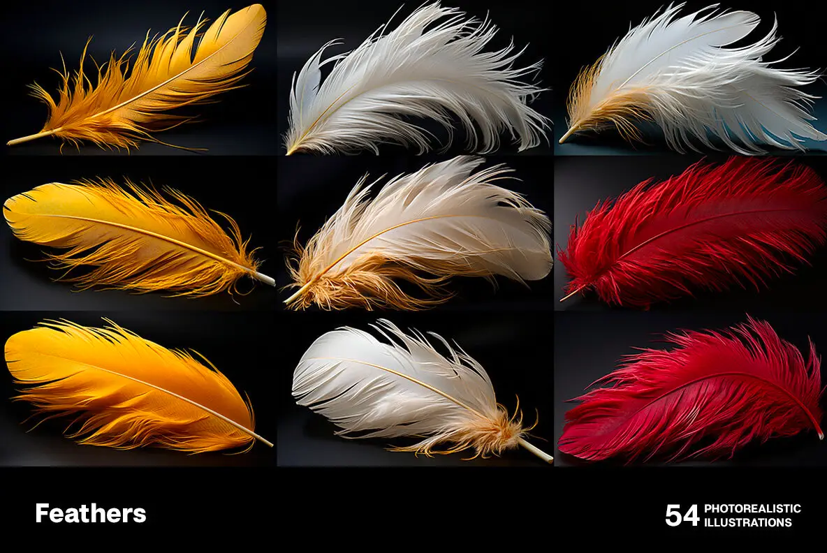 Feathers Graphics - YouWorkForThem