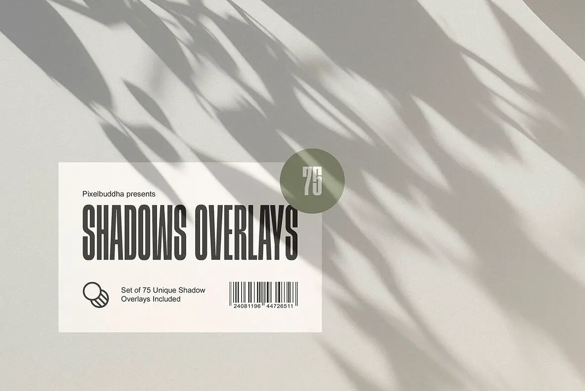 Light & Shadow Overlays Collection