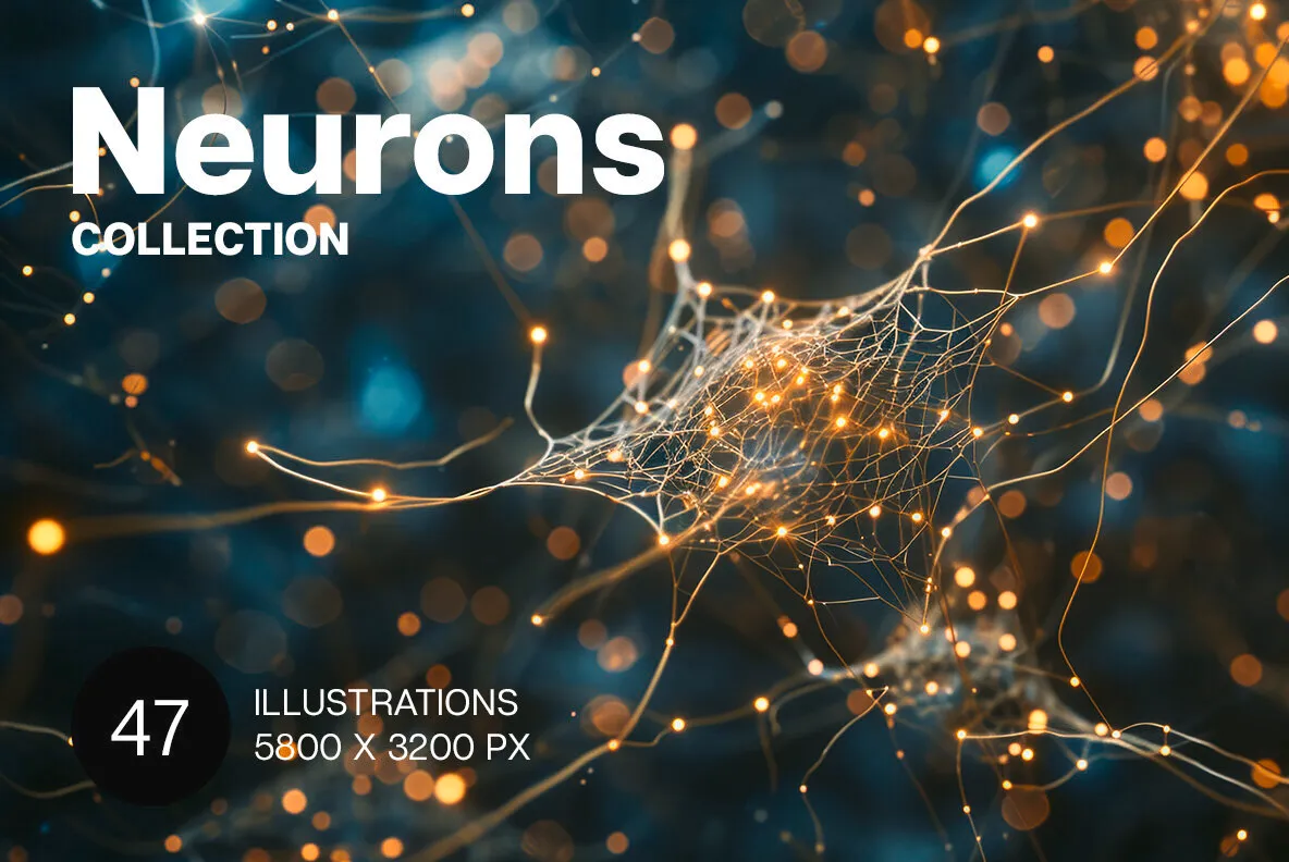 Neurons