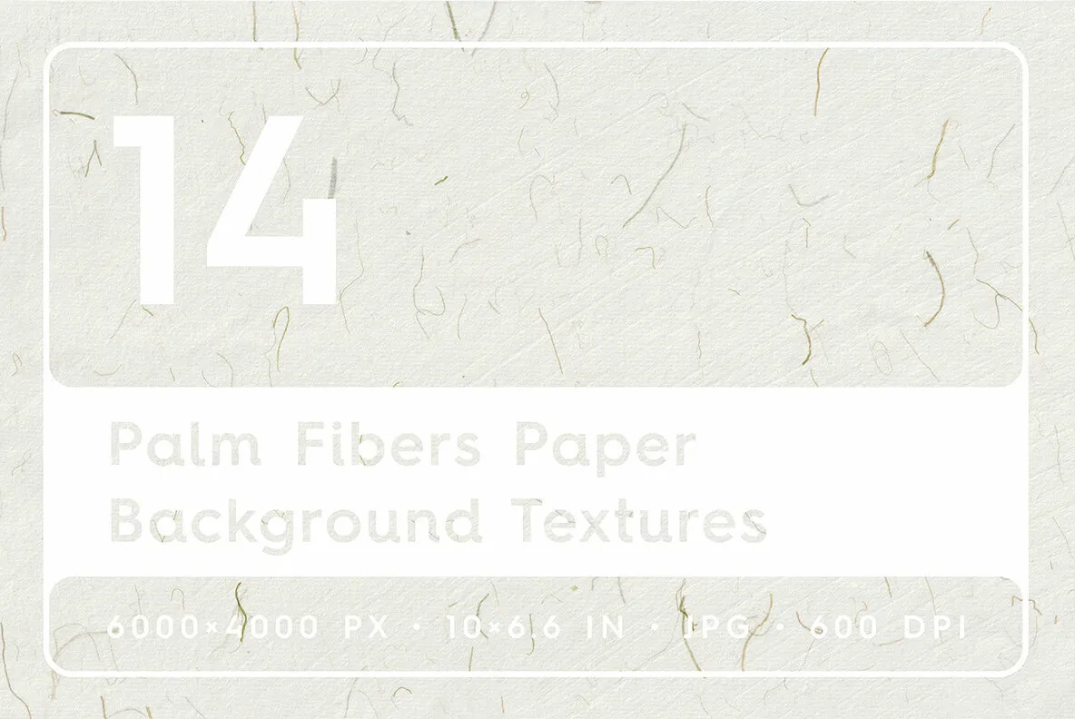 14 Palm Fibers Paper Textures