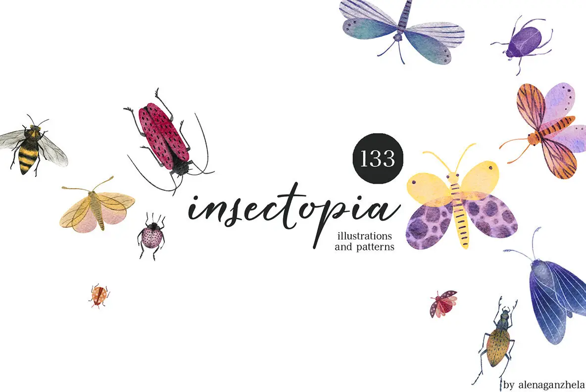 Insectopia Watercolor illustrations & Patterns