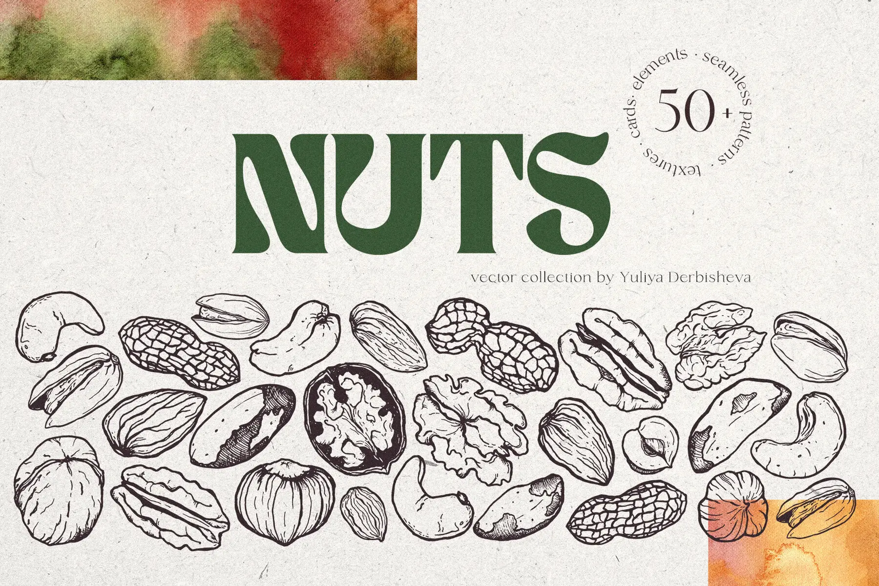 Nuts Illustrations