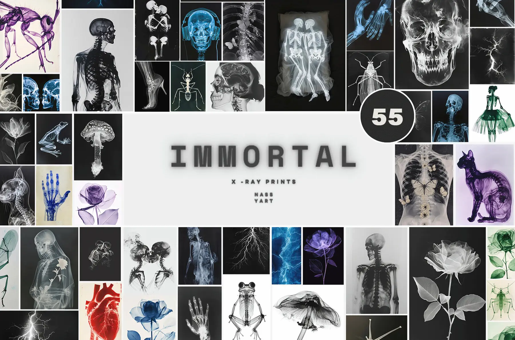 55 Immortal X-ray Print Posters