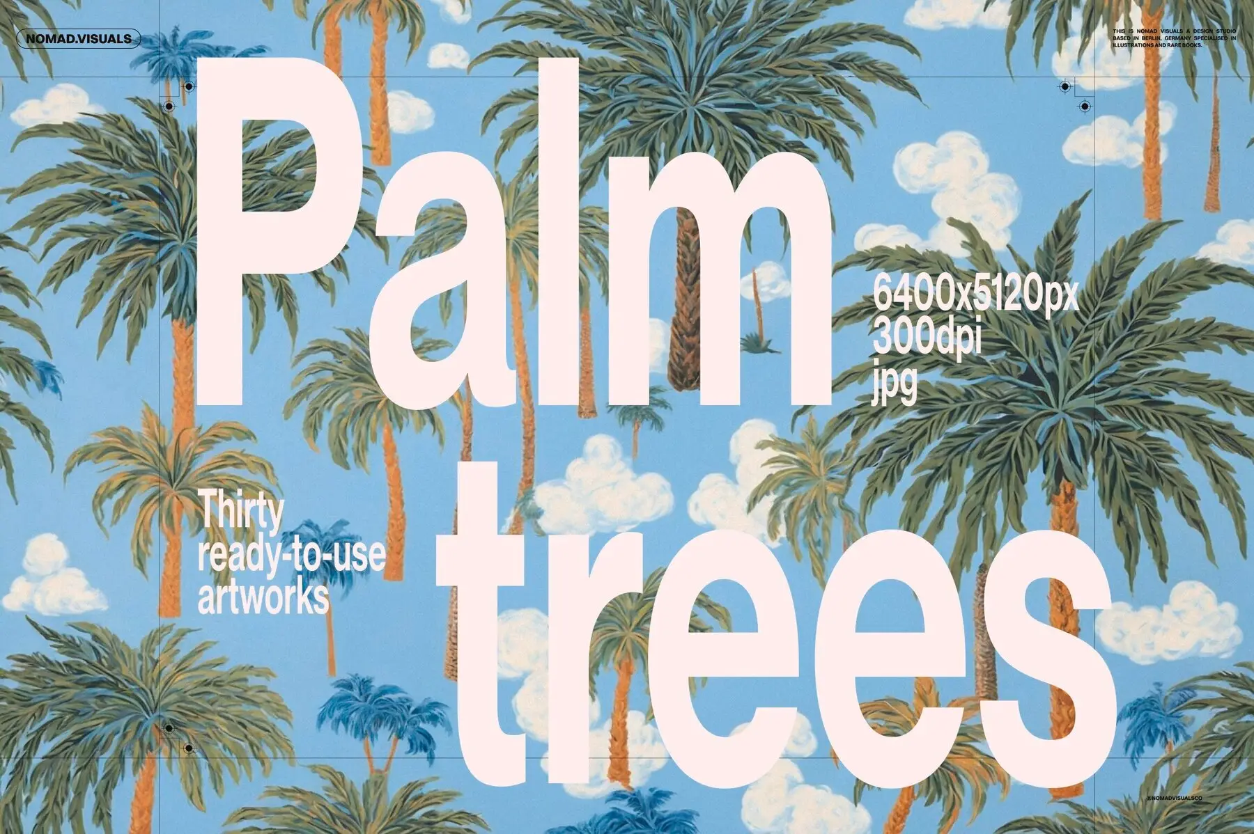 Palm Trees Illustrations