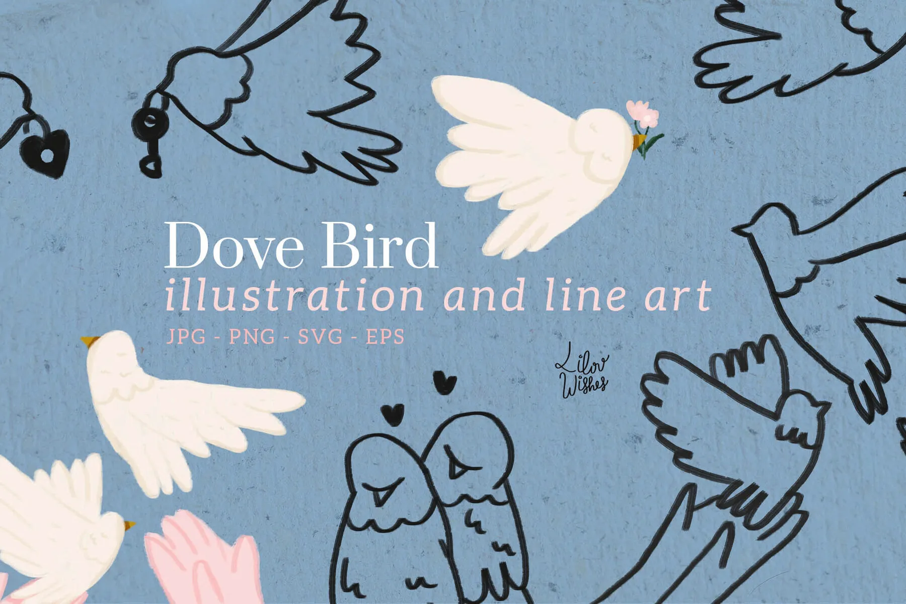 Dove Bird Illustration and Line Art