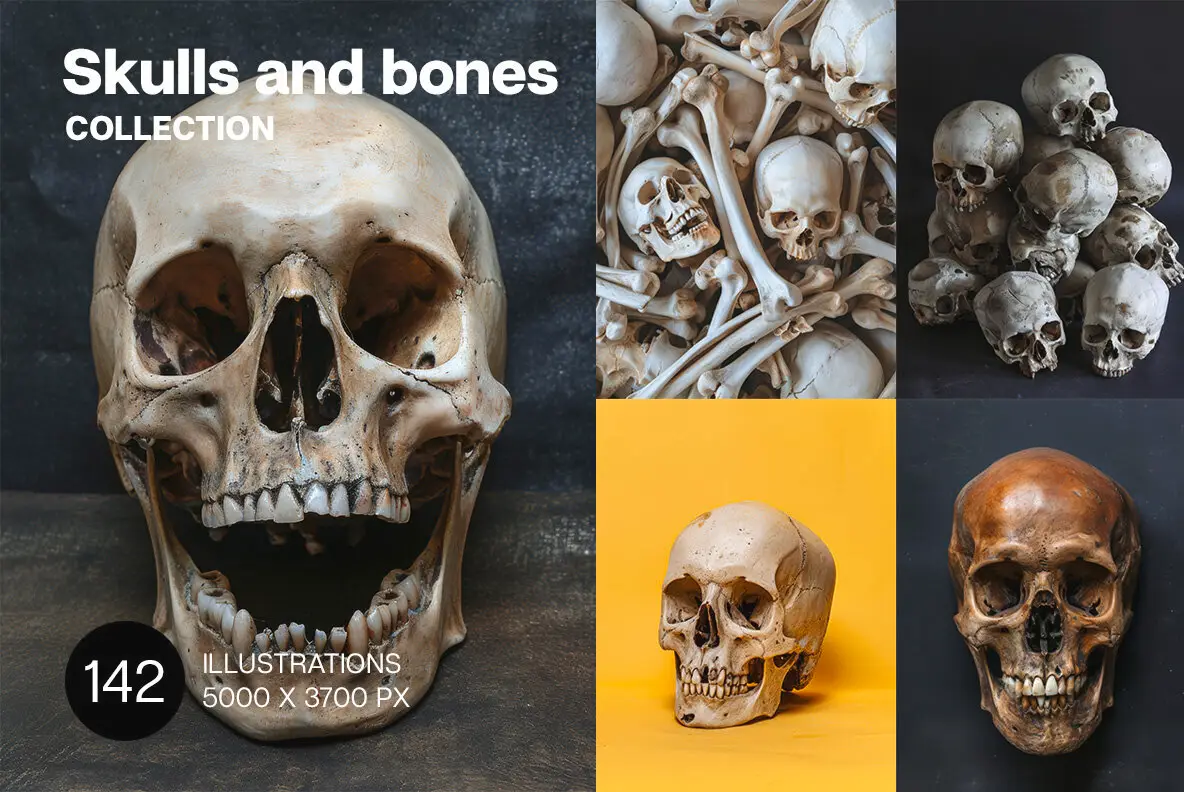 Skulls and bones