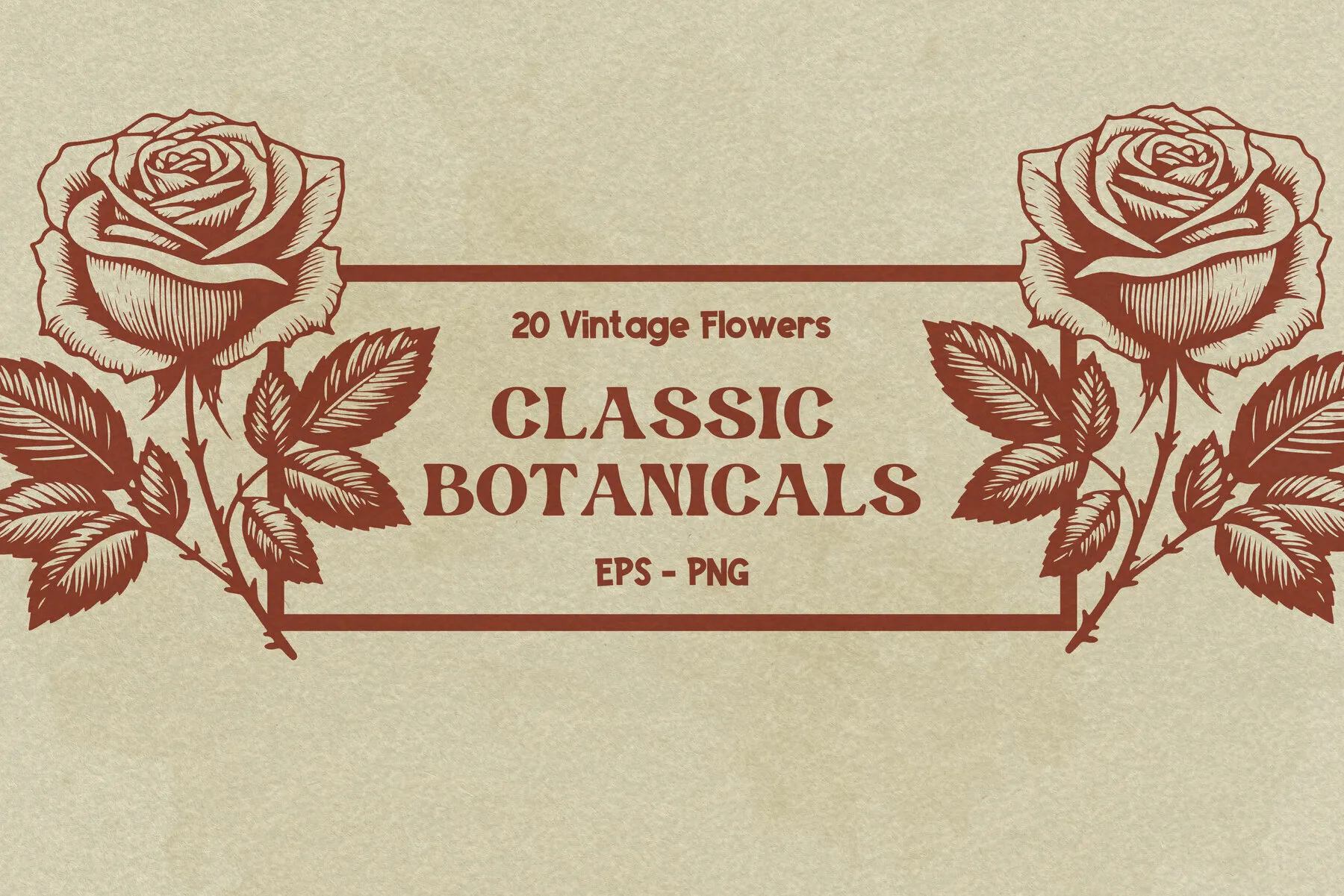 Classic Botanicals - 20 Vectors