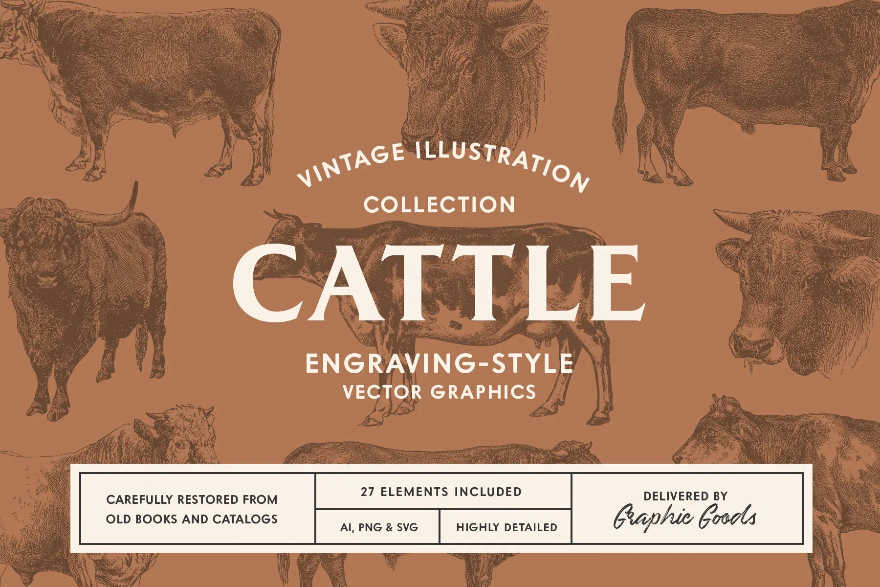 Cattle Vintage Illustration Set