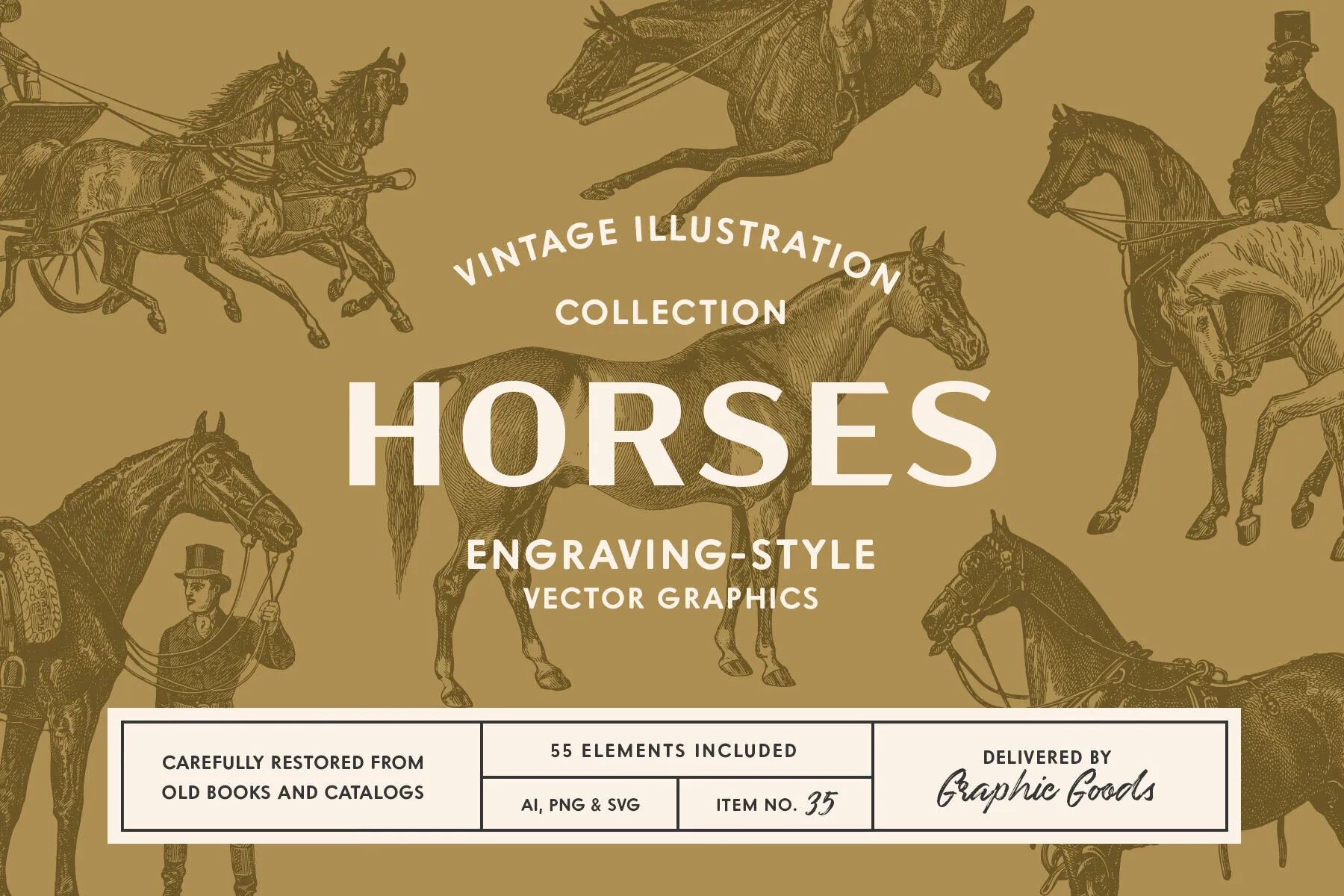 Horses Vintage Illustration Set