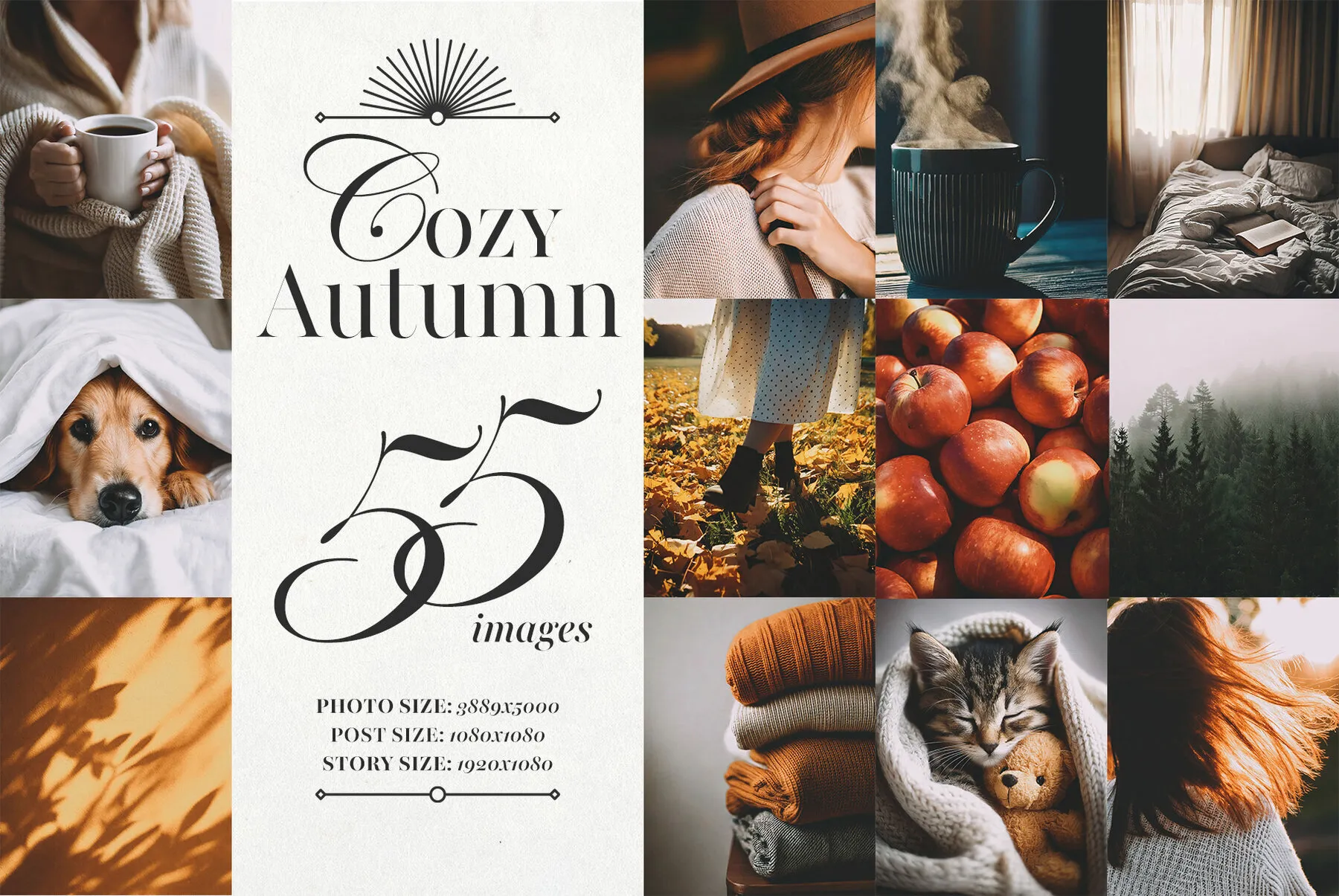 Cozy Autumn Collection