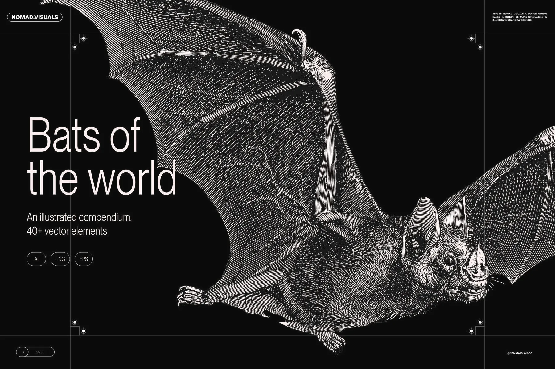 Bats of the World