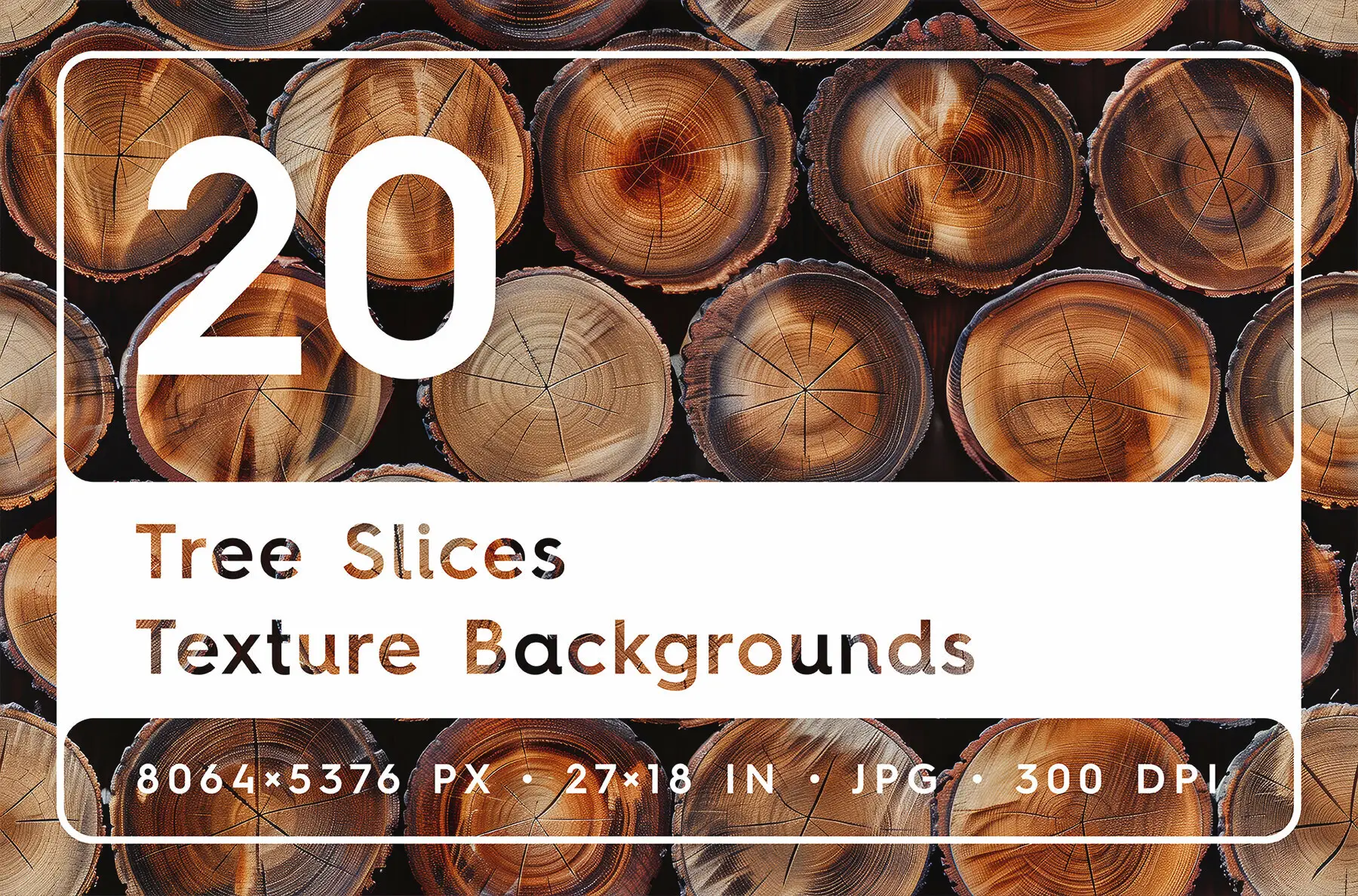 20 Tree Slices Texture Backgrounds