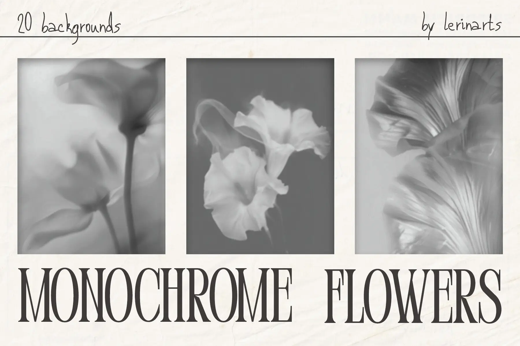 Monochrome FLOWERS