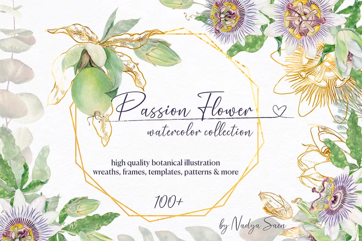 Passion Flower Watercolor Collection