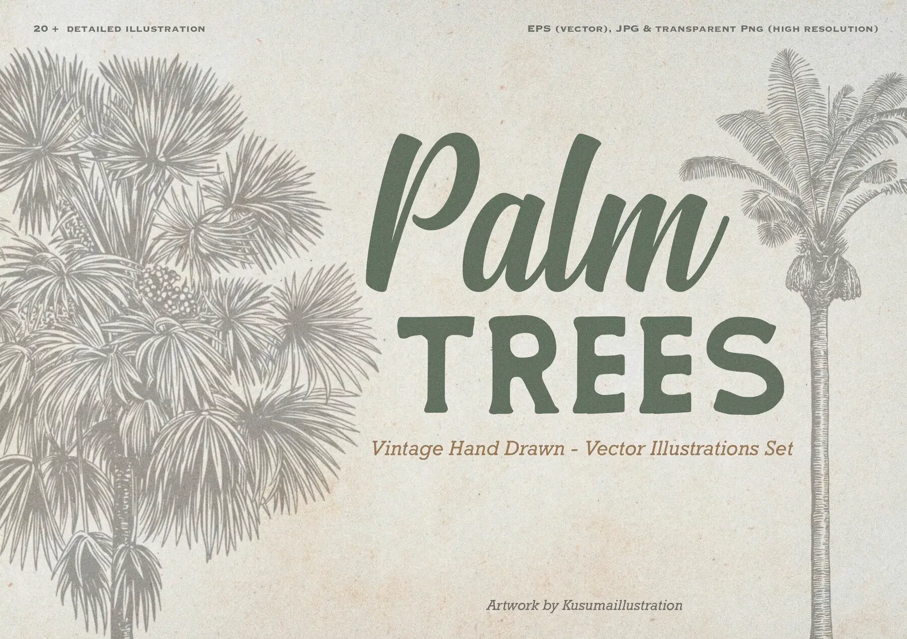 Hand Drawn Palm Tree Vectors
