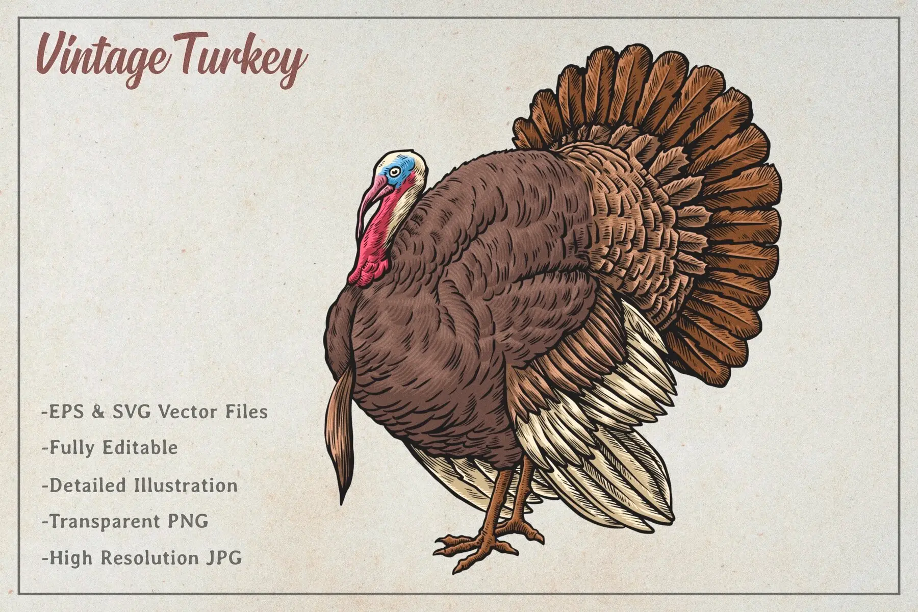 Vintage Turkey Vector Art