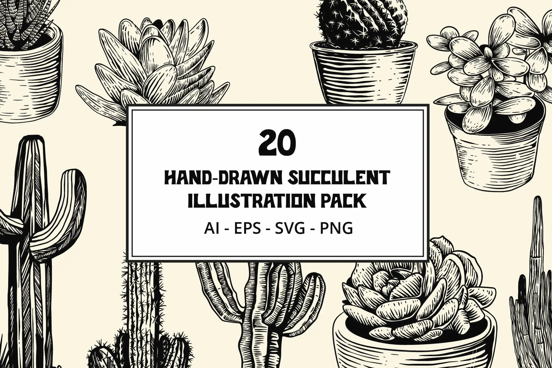 Hand Drawn Succulent Illustration Pack