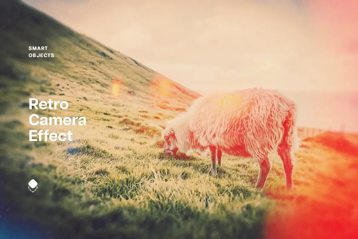 Retro Camera Photo Effect