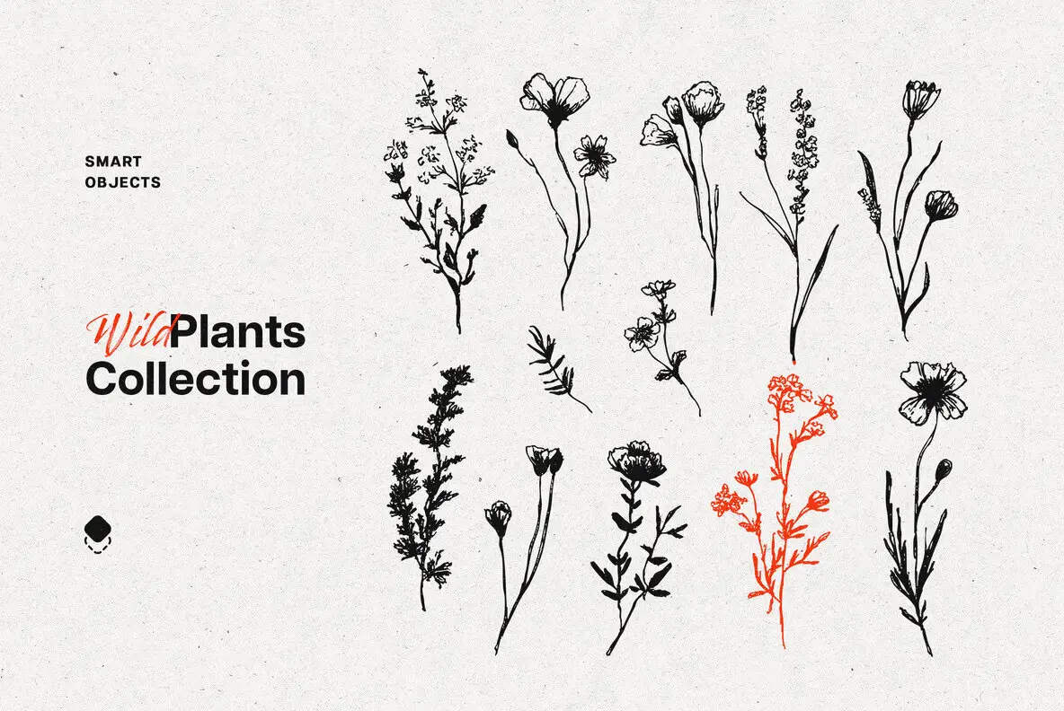 Wild Plants Graphic Set
