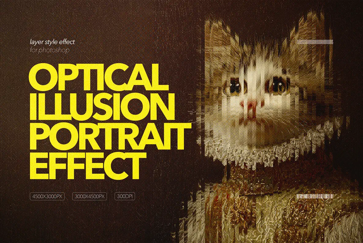 Optical Illusion Portrait Effect