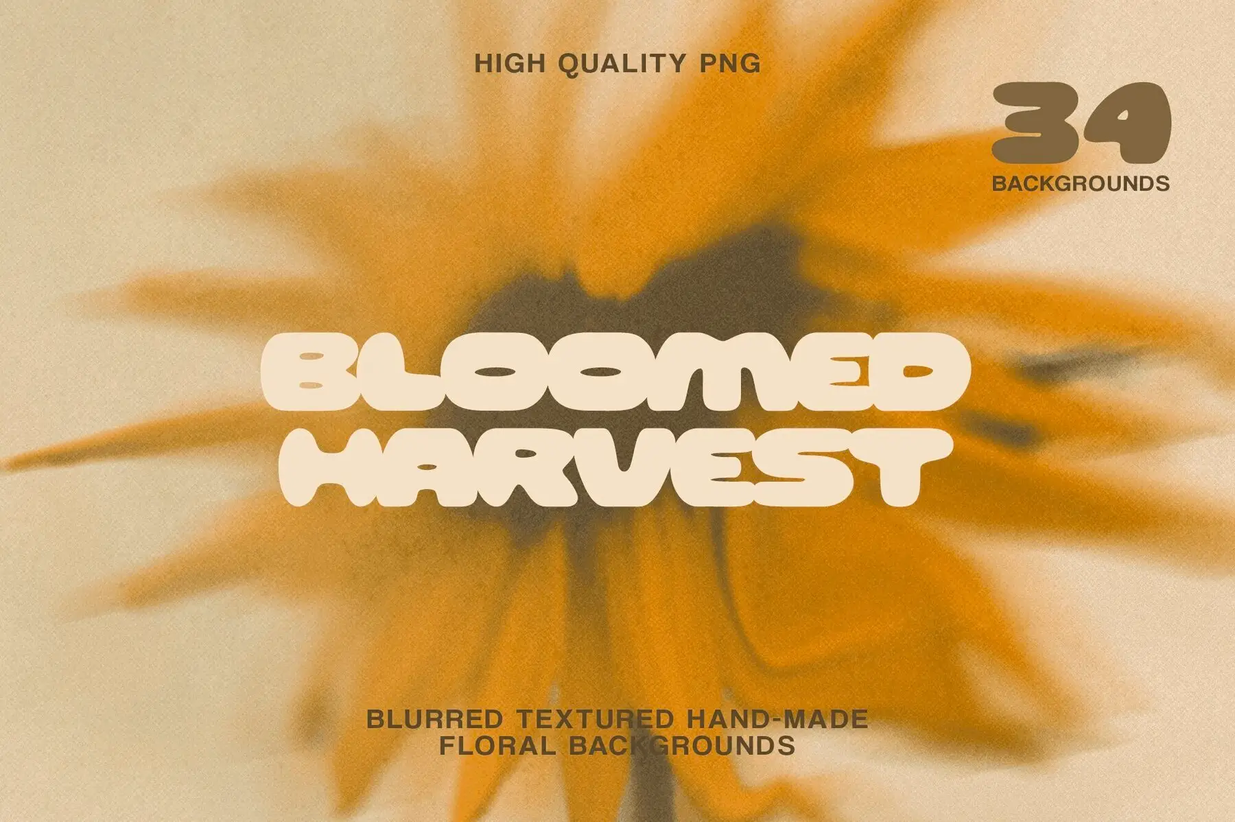 Bloomed Harvest Sunflowers abstract backgrounds