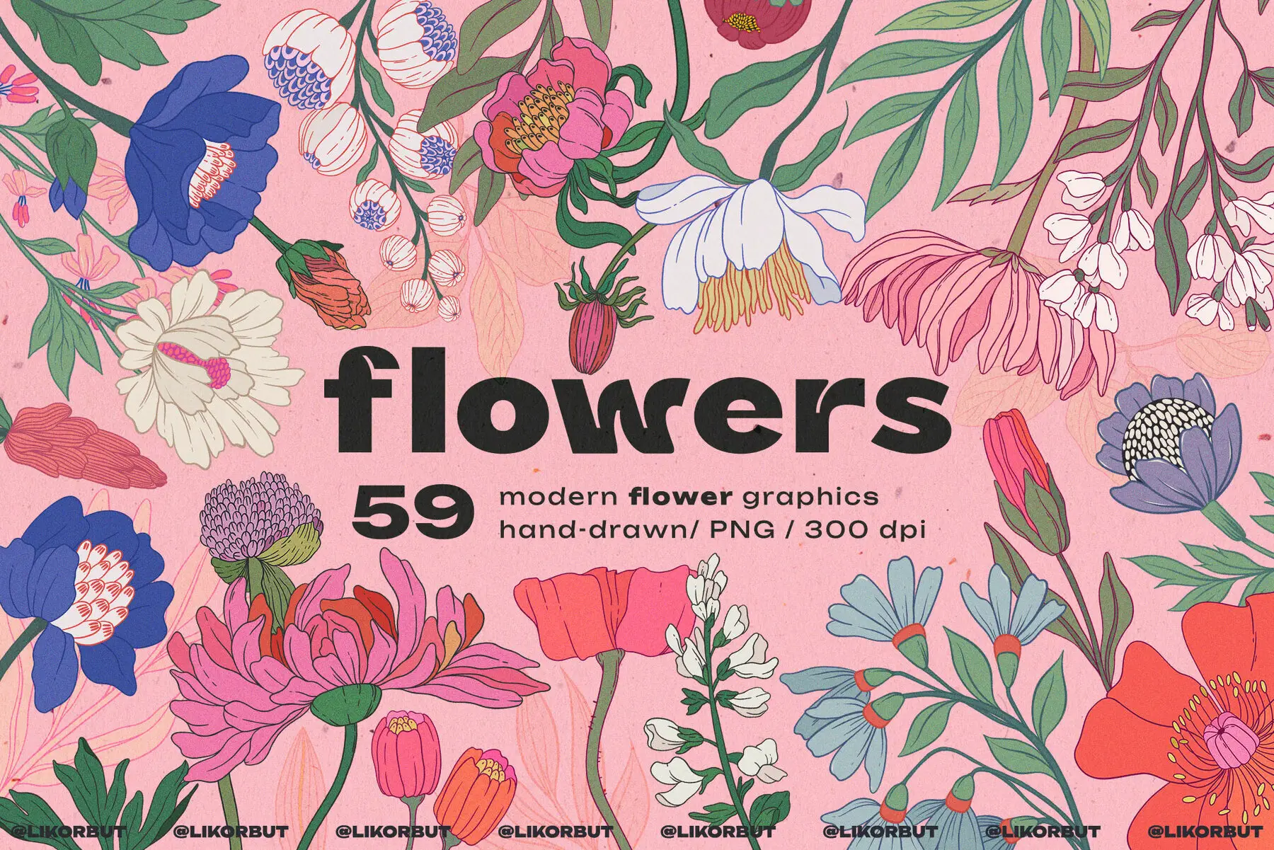 Modern Botanical Floral Illustration