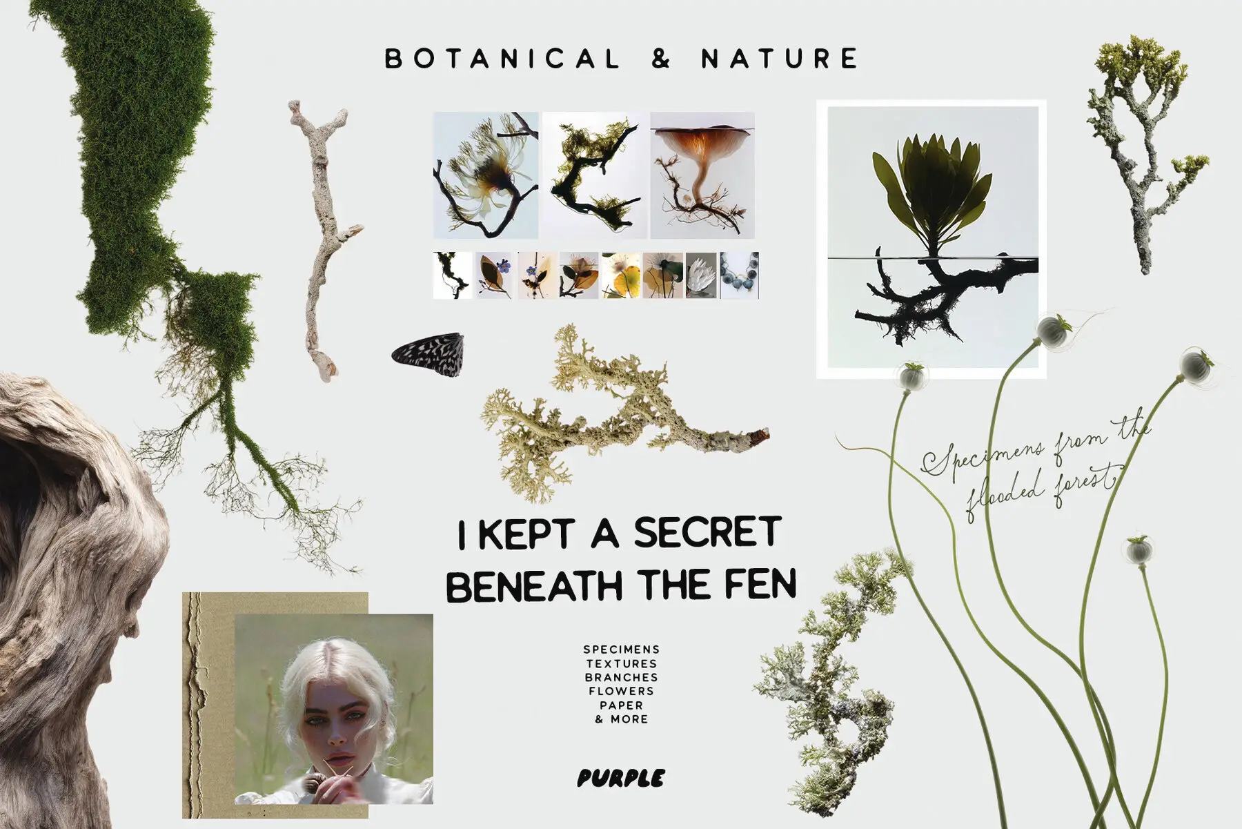 Botanical and Nature Collage Kit