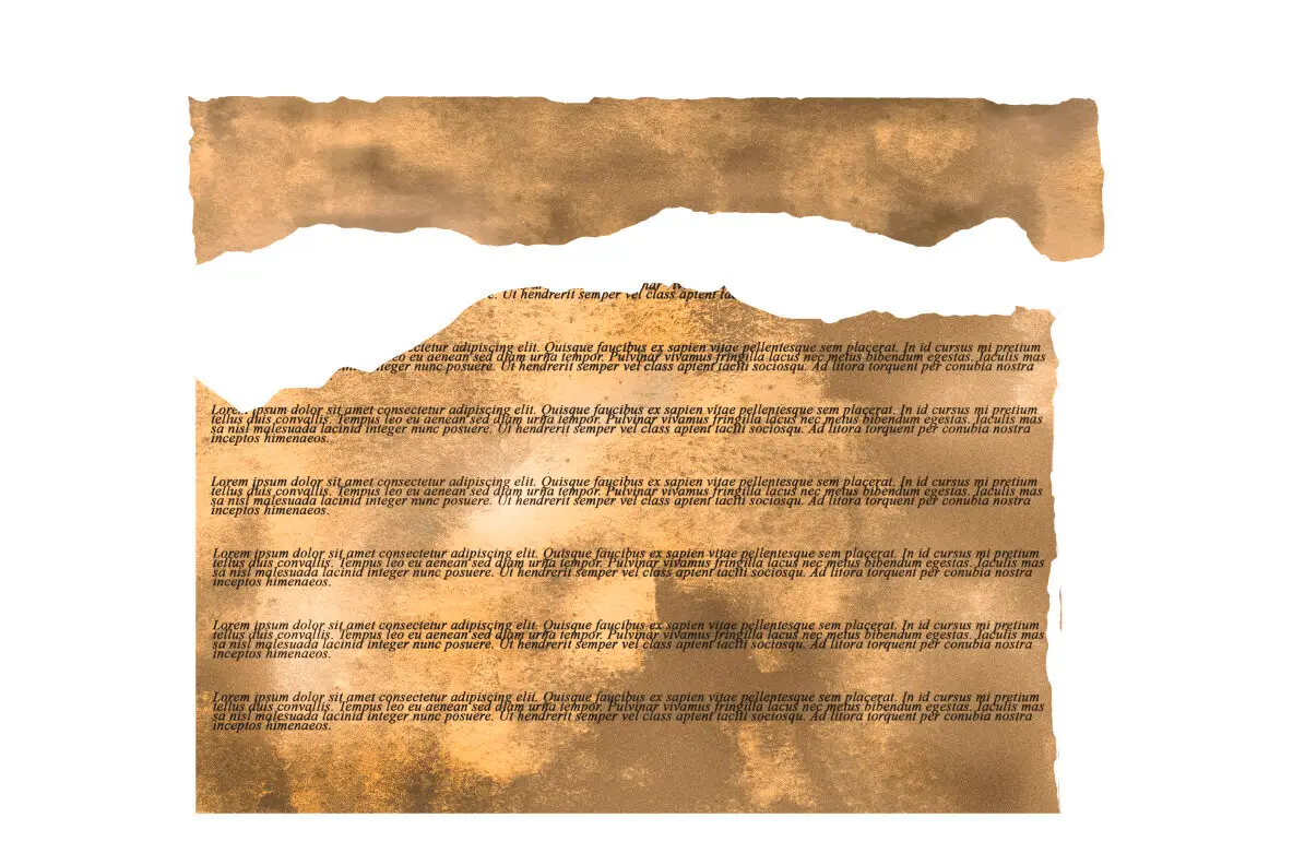 Textured Cut out Papers Pack Graphics - YouWorkForThem