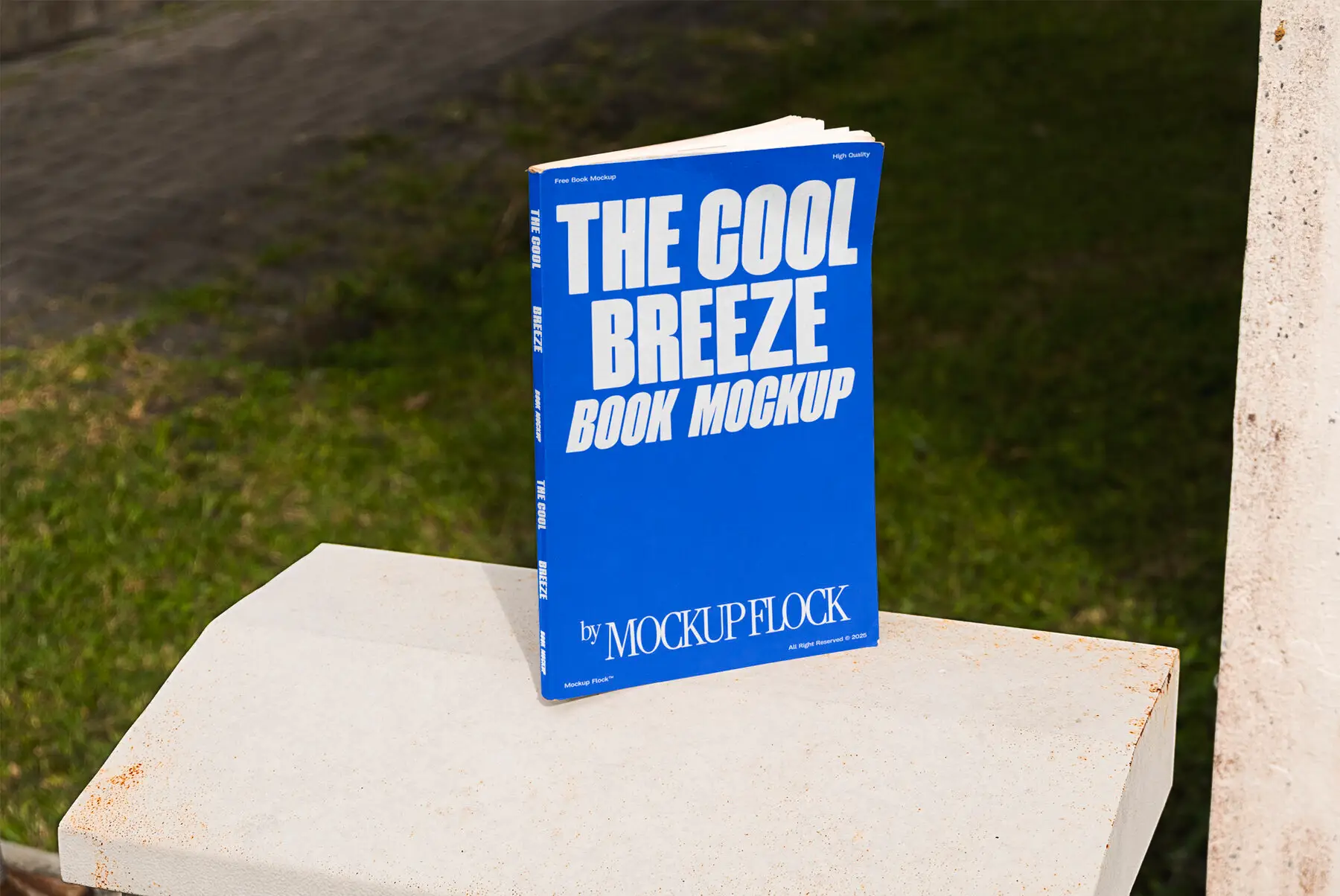 C and B Book 02 Mockup