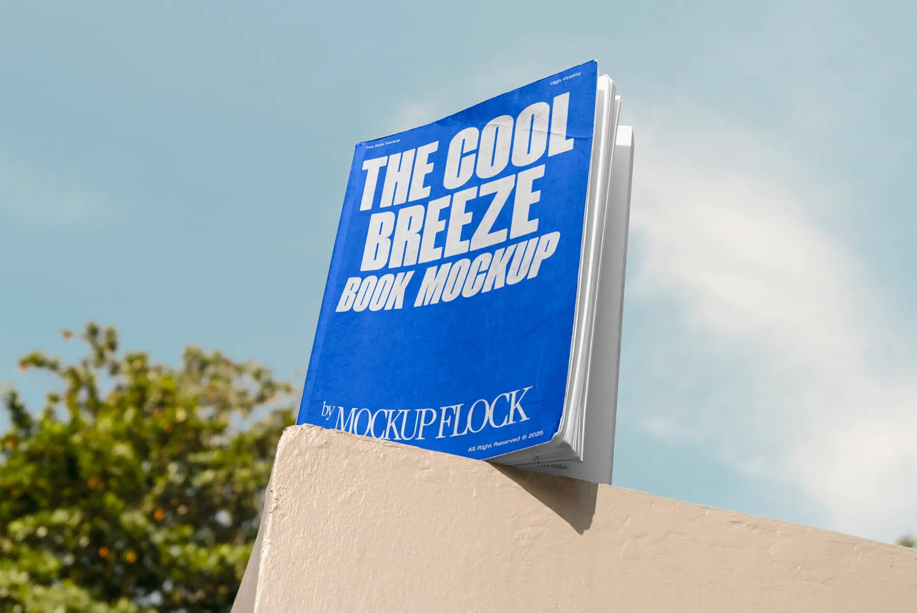 C and B Book 03 Mockup