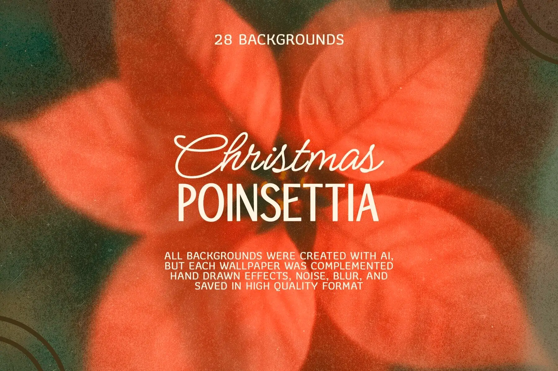 Christmas Poinsettia - Soft Floral backgrounds