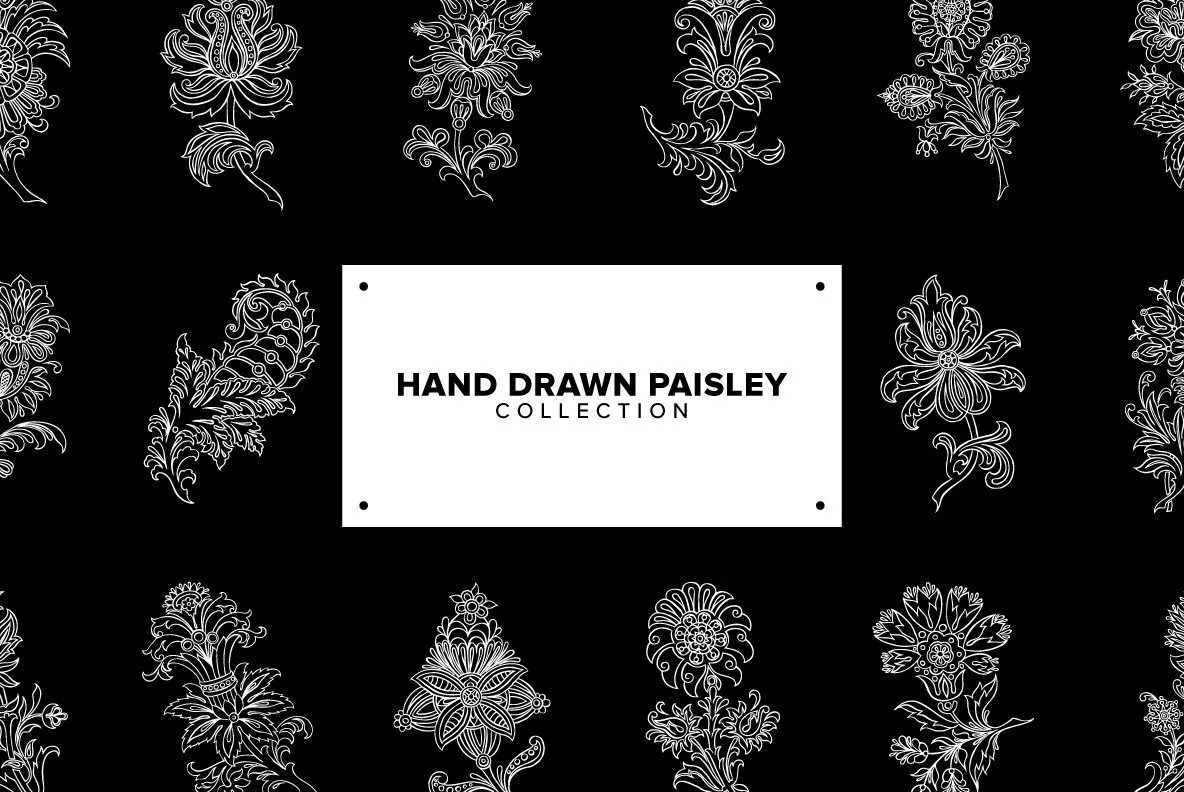 Hand Drawn Paisley Collection