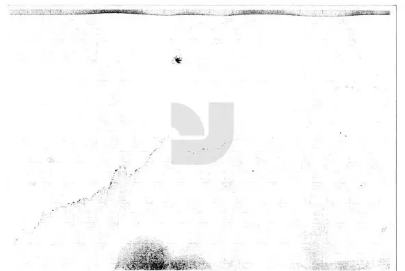 Bad Photocopy Distressed - YouWorkForThem
