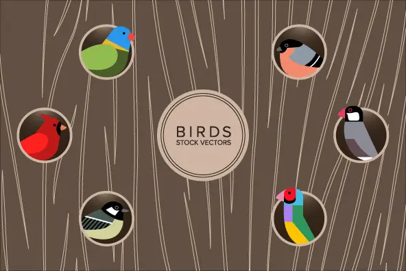 Birds