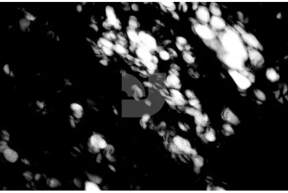 Reflections Collection Graphics - YouWorkForThem