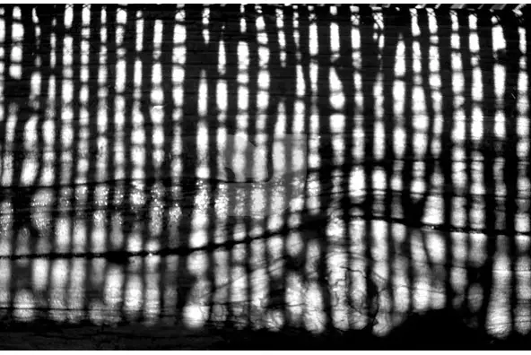 Reflections Collection Graphics - YouWorkForThem