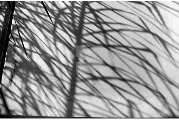 Reflections Collection Graphics - YouWorkForThem