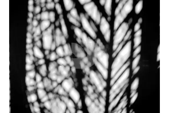 Reflections Collection Graphics - YouWorkForThem