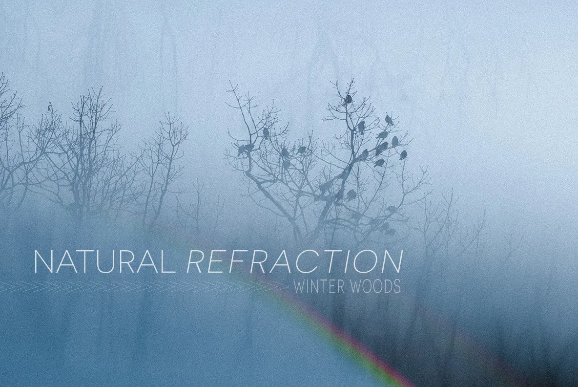 Natural Refraction: Winter Woods