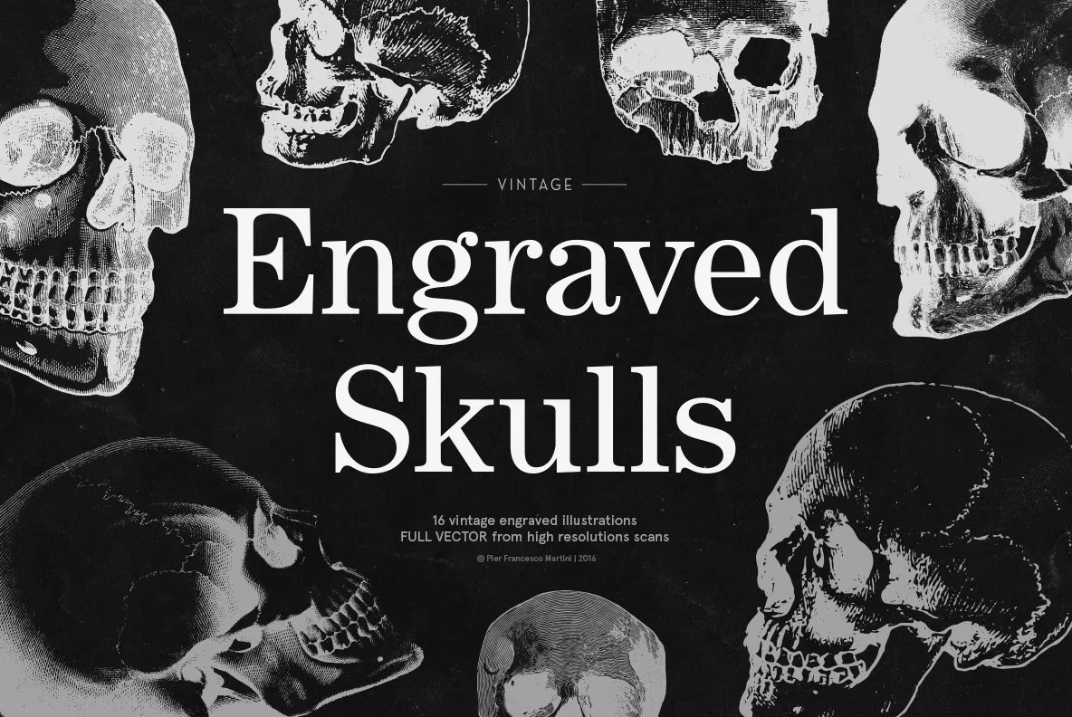 Engraved Skulls Illustrations